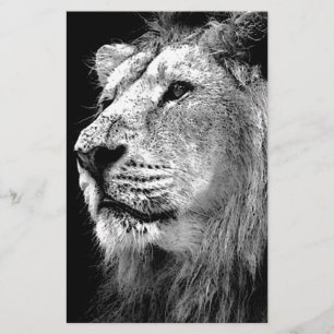 Black & White Lion Stationery