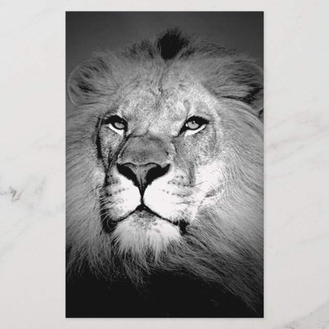 Black & White Lion Stationery (Front)