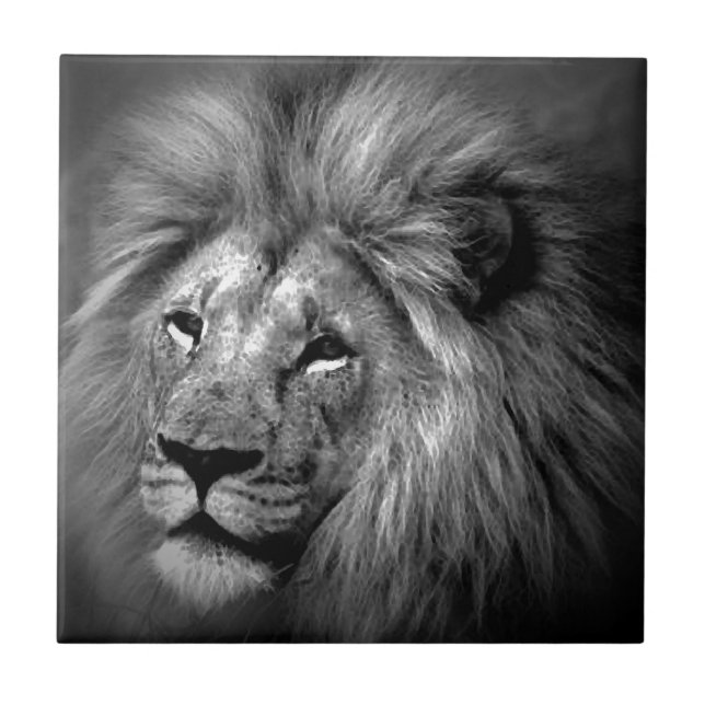 Black & White Lion Tile (Front)