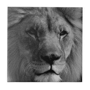 Black & White Lion Tile