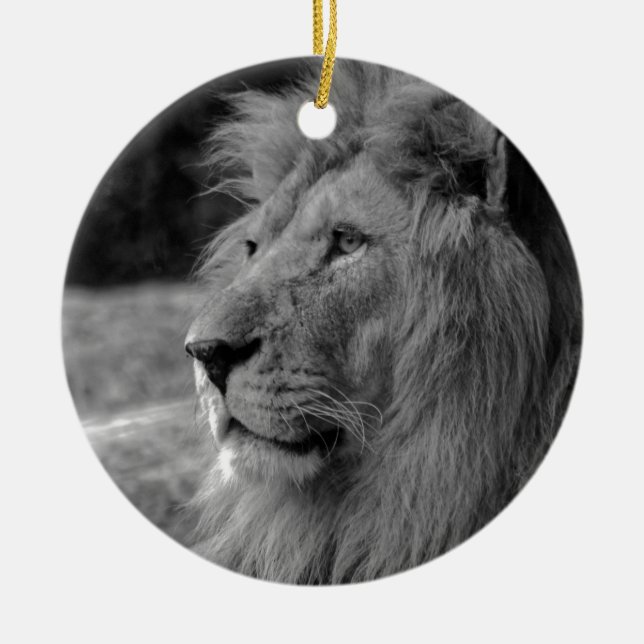 Black & White Lion - Wild Animal Ceramic Tree Decoration (Front)