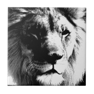 Black & White Lion - Wild Animal Photograpty Art Tile