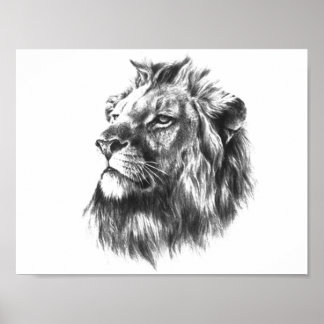 Black & White Lions Head Poster