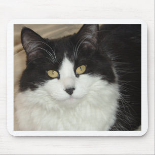 Black & White Longhaired Cat Closeup Mouse Mat