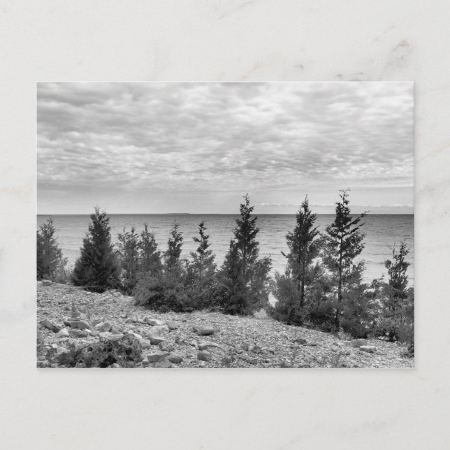 Black & White Mackinac Island, Michigan Shoreline Postcard (Front)