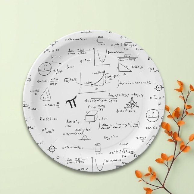 Black White Math Equations Graphics Party Paper Plate (Creator Uploaded)