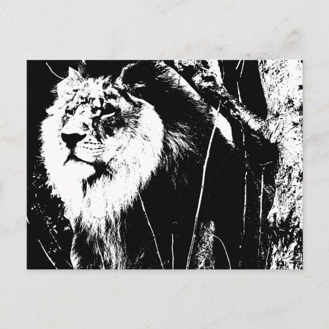 Black White Modern Pop Art Template Animal Lion Postcard (Front)