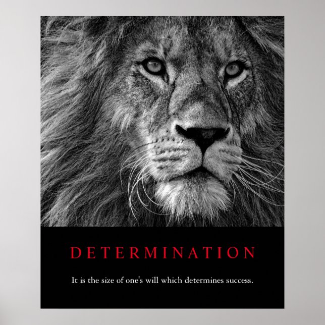 Black & White Motivational Determination Lion Art Poster (Front)