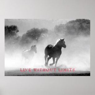 Black White Motivational Horse Live Without Limits Poster