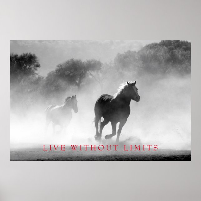 Black White Motivational Horse Live Without Limits Poster (Front)