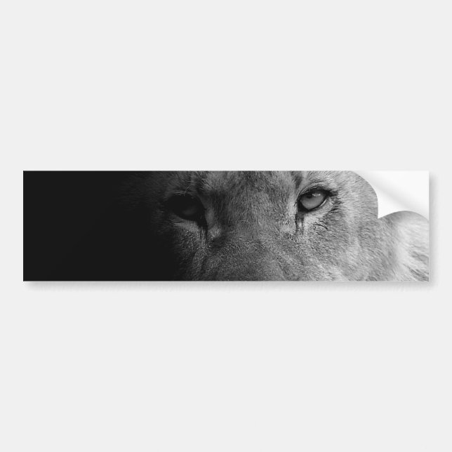 Black White Motivational Leadership Lion Portrait Bumper Sticker (Front)