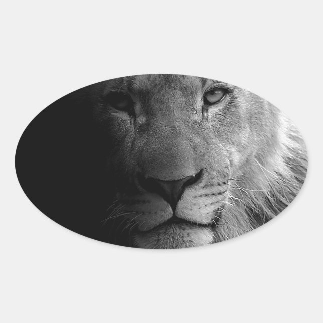 Black White Motivational Leadership Lion Portrait Oval Sticker (Front)