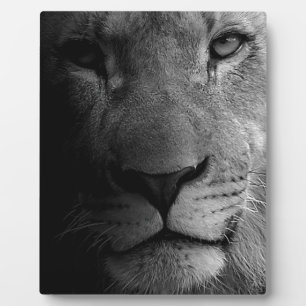 Black White Motivational Leadership Lion Portrait Plaque