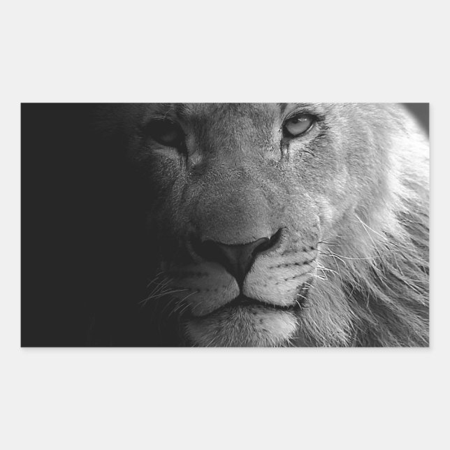 Black White Motivational Leadership Lion Portrait Rectangular Sticker (Front)
