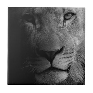 Black White Motivational Leadership Lion Portrait Tile