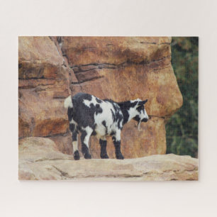 Black & White Mountain Goat on Rocks Jigsaw Puzzle