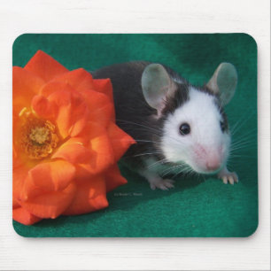 Black White Mouse and Orange tea rose Mat