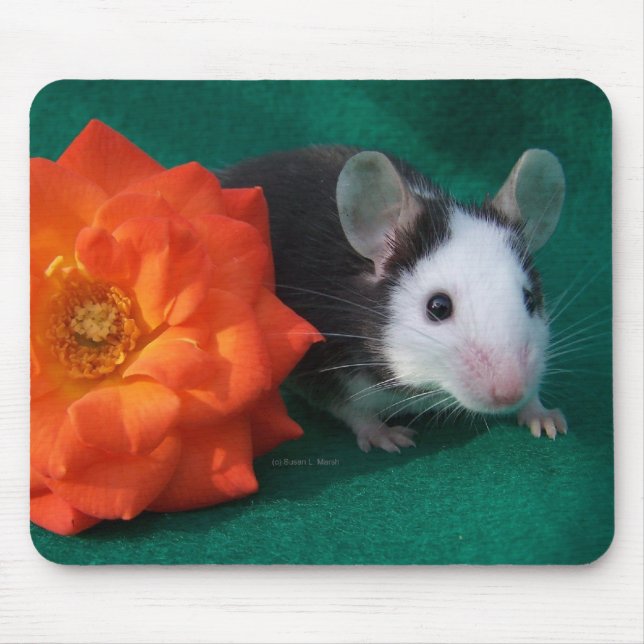 Black White Mouse and Orange tea rose Mouse Mat (Front)