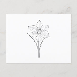 Black White Narcissus Line Art Postcard