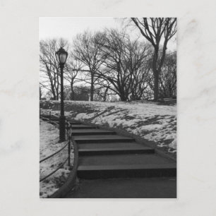 Black White NY Central Park Postcard