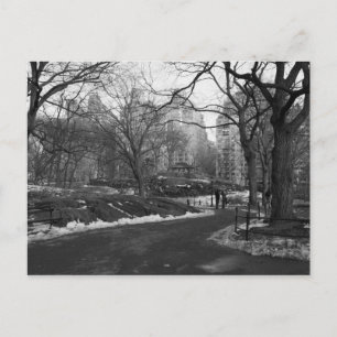 Black White NY Central Park Postcard