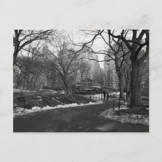 Black White NY Central Park Postcard