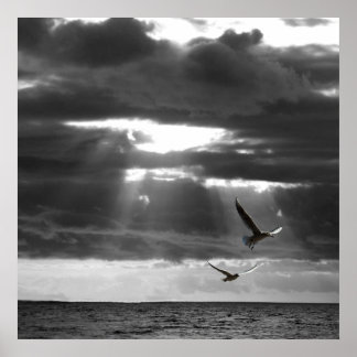 Black & White Ocean Poster