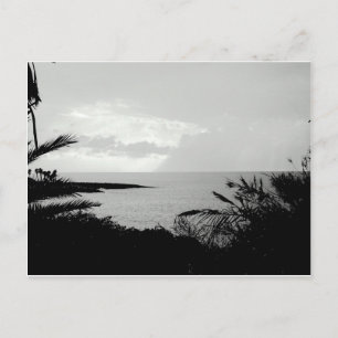 Black & White Ocean Scene Postcard