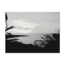 Black & White Ocean Scene Postcard