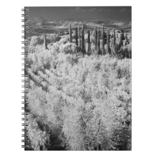 Black & White of vineyards, Montepulciano, Italy Notebook