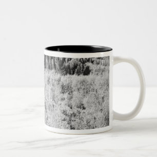 Black & White of vineyards, Montepulciano, Italy Two-Tone Coffee Mug