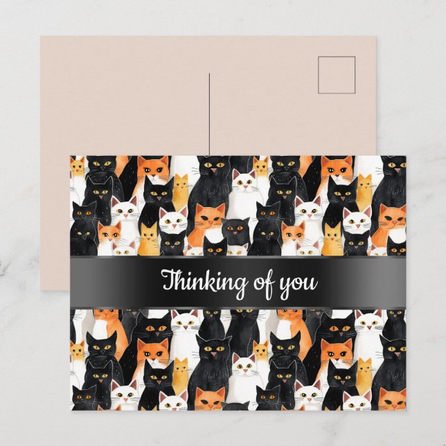Black White Orange Cats Thinking of You Postcard (Front/Back)