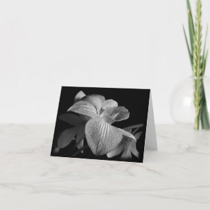 Black & White Orchid Note Card