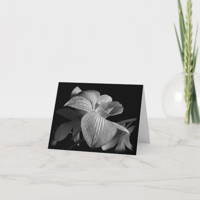 Black & White Orchid Note Card (Front)