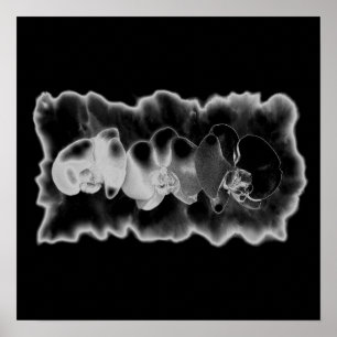 Black White Orchid painting tropical floral Throw Poster