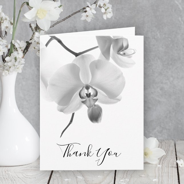 Black White Orchids on Stem Sympathy Thank You (Creator Uploaded)