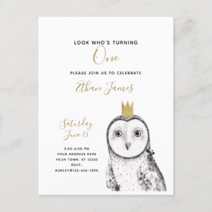 Black & White Owl Baby 1st Birthday Party Invitation Postcard