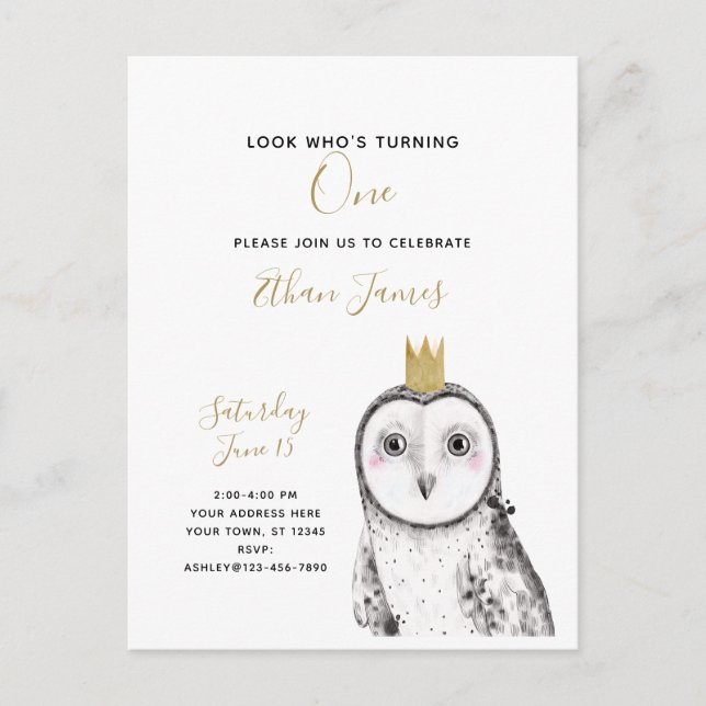 Black & White Owl Baby 1st Birthday Party Invitation Postcard (Front)