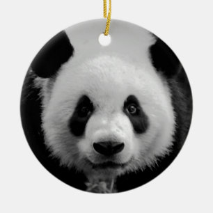 Black & White Panda Bear Christmas Tree Ornament