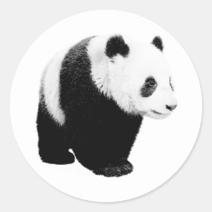 Black & White Panda Classic Round Sticker