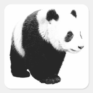 Black & White Panda Square Sticker