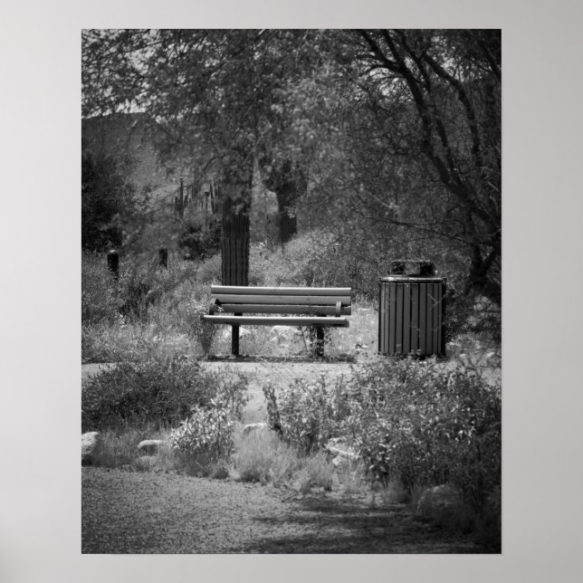 Black & White Park Bench 16x20 Poster Print (Front)