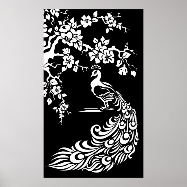 Black white peacock and cherry blossoms poster (Front)
