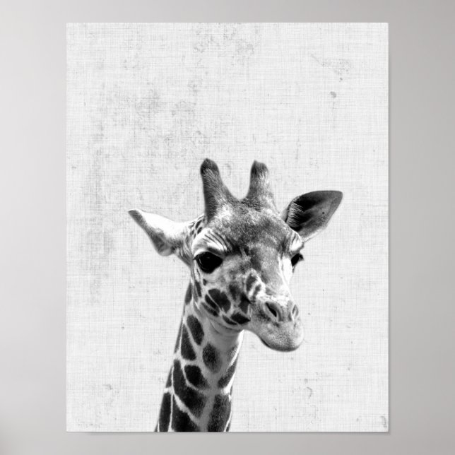 Black & White Peekaboo Giraffe Minimalist Nursery Poster (Front)