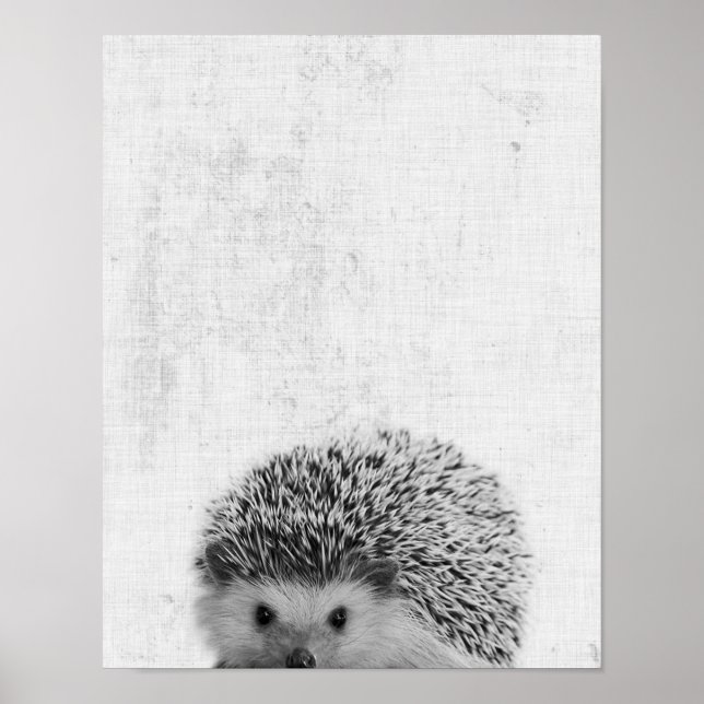 Black & White Peekaboo Hedgehog Minimalist Nursery Poster (Front)