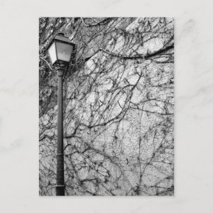 Black & White Photo of Paris Street Lamp Postcard