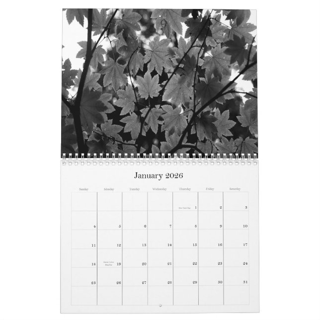 Black & White Photography 2011 Calendar (Jan 2026)