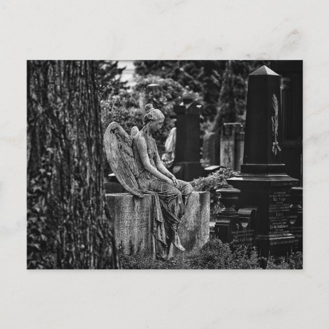 Black white photography melancholic angel postcard (Front)