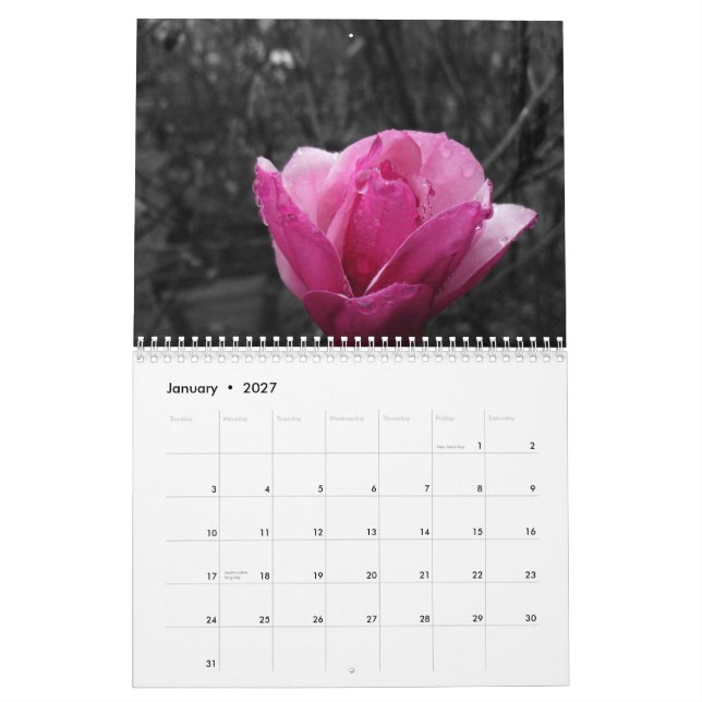 Black & White Photography with Colour Accents Calendar (Jan 2027)