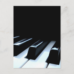 Black & White Piano Keys Postcard